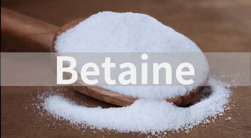 betaine-1 betaine-1