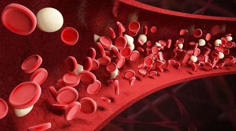 betaine-3 betaine-3