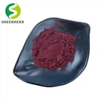 Ekstrakt korijena arnebije Euchroma