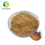 Cordyceps gljiva u prahu