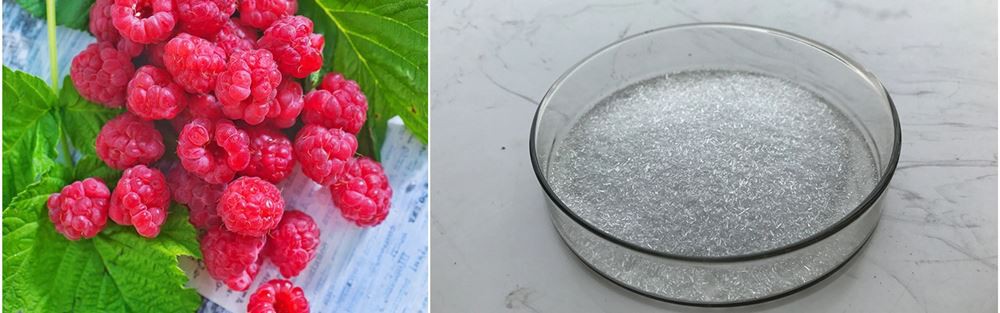 Raspberry Ketone (3)