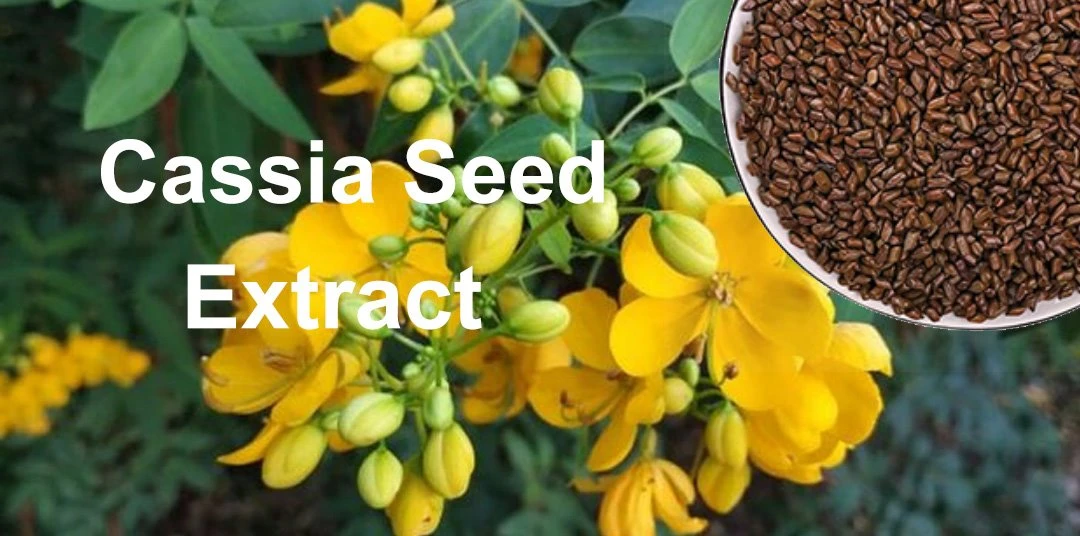 Cassia Seed Extract 7