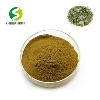 Epimedium Powder