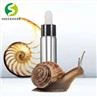 Snail Mucus Extract