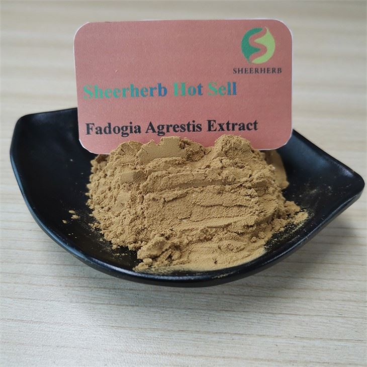 Fadogia Agrestis Extract Capsule