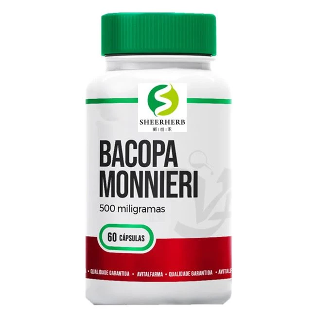 Oem kapsula Bacopa Monnieri Private Label