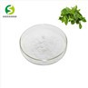 Andrographis Paniculata Extract