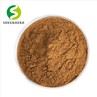 Cassia Seed Extract