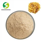 Ekstrakt Boswellia Serrata u prahu