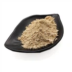 Instant đumbir u prahu