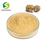 Notoginsenoside Powder