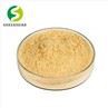 Notoginsenoside Powder