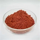 Najbolji dodatak Ferritin